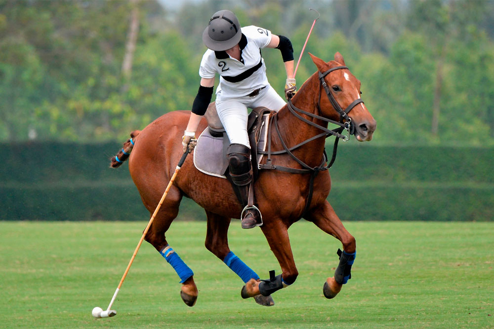 polo