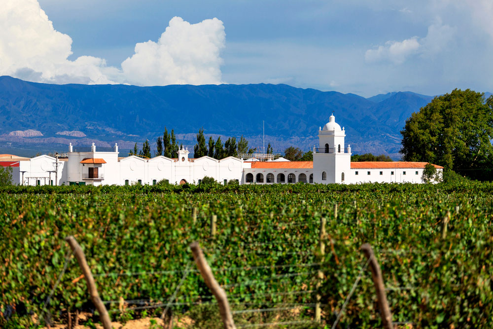 cafayate-bodega