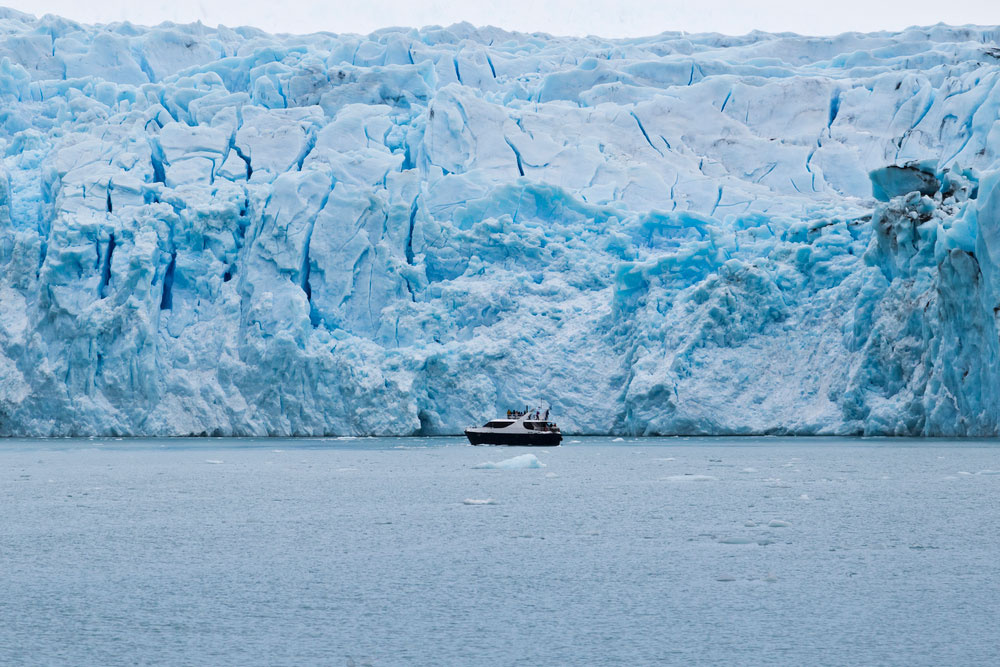calafate7 calafate7