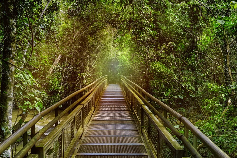 pasarela-cataratas-667